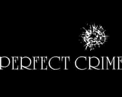 Perfect Crime blurred poster image