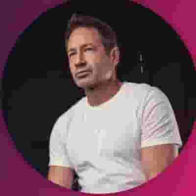 David Duchovny blurred poster image