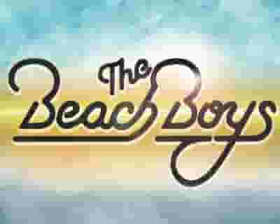 The Beach Boys blurred poster image