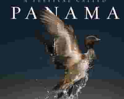 A festival called PANAMA 2023 tickets blurred poster image