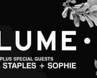Flume tickets blurred poster image