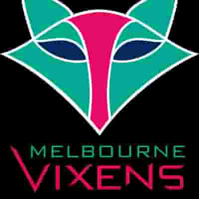 Melbourne Vixens blurred poster image