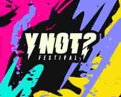 Y Not Festival 2024 tickets blurred poster image