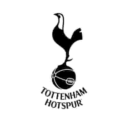 Tottenham Hotspur blurred poster image