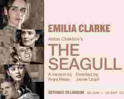 The Seagull tickets blurred poster image