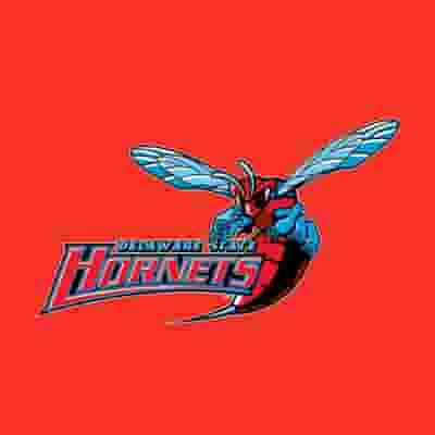 Delaware State Hornets Football blurred poster image