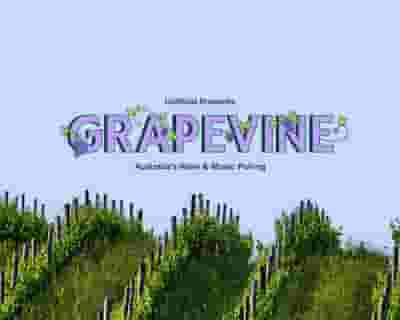Grapevine Gathering 2023 | QLD tickets blurred poster image