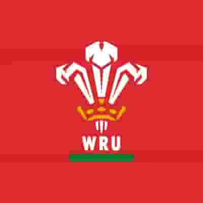 The Welsh Rugby Union (Wales) blurred poster image