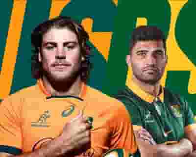Wallabies v South Africa tickets blurred poster image
