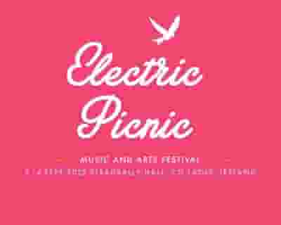 Electric Picnic 2022 tickets blurred poster image