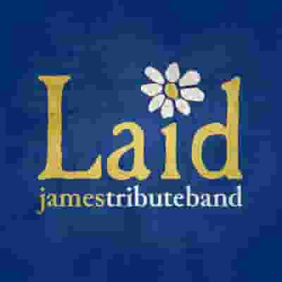 Laid - James Tribute Band blurred poster image