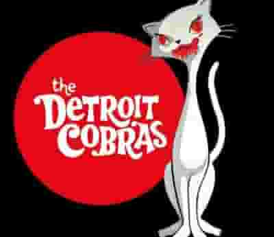 The Detroit Cobras blurred poster image