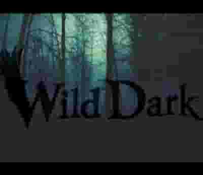 Wild Dark blurred poster image