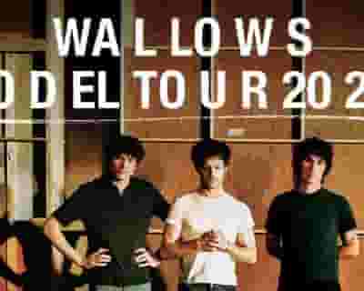 WALLOWS tickets blurred poster image
