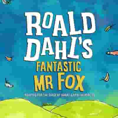 Roald Dahl's Fantastic Mr Fox blurred poster image