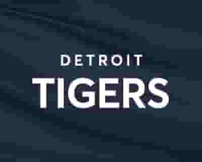 Detroit Tigers blurred poster image