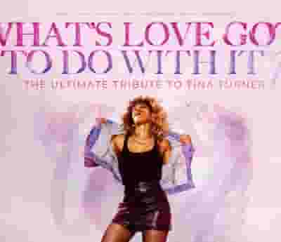 What's Love Got to do With it - Tina Turner Tribute blurred poster image