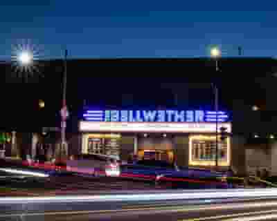 The Bellwether blurred poster image
