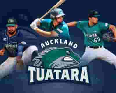 Auckland Tuatara v Canberra Calvary tickets blurred poster image