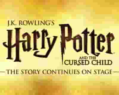 Harry Potter and the Cursed Child Parts One and Two tickets blurred poster image
