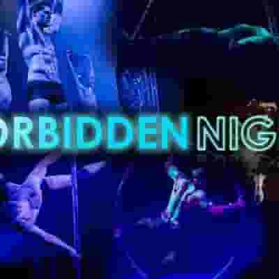 Forbidden Nights Brighton Ultimate Sexy Circus blurred poster image