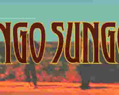 Dingo Sungod tickets blurred poster image