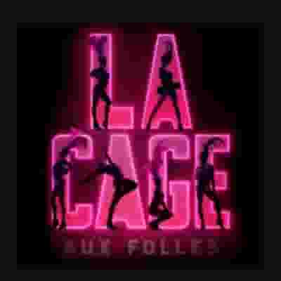 La Cage Aux Folles blurred poster image