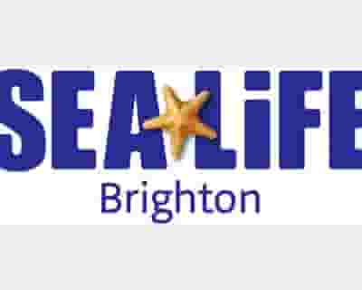 Sea Life Brighton Anytime Entry tickets blurred poster image