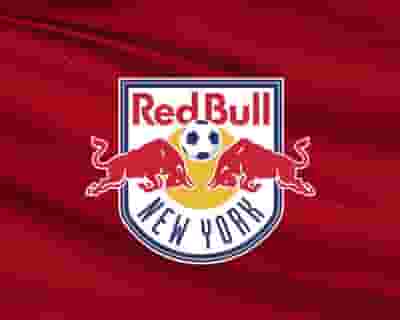 New York Red Bulls blurred poster image