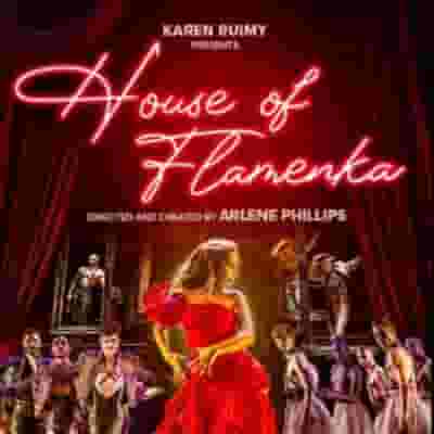 House Of Flamenka blurred poster image