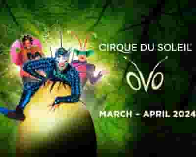 Cirque du Soleil: OVO tickets blurred poster image