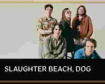 Slaughter Beach, Dog tickets blurred poster image