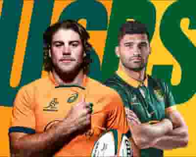 Wallabies v South Africa tickets blurred poster image