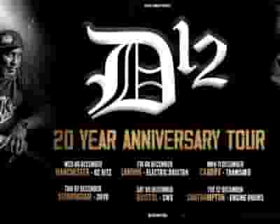 D12 tickets blurred poster image