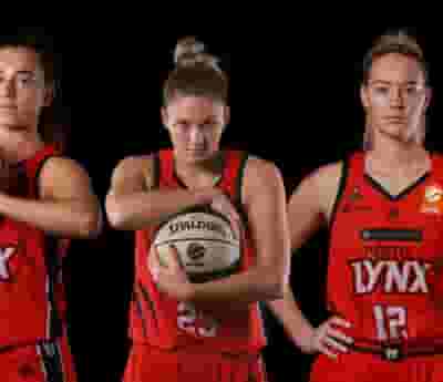 Perth Lynx blurred poster image
