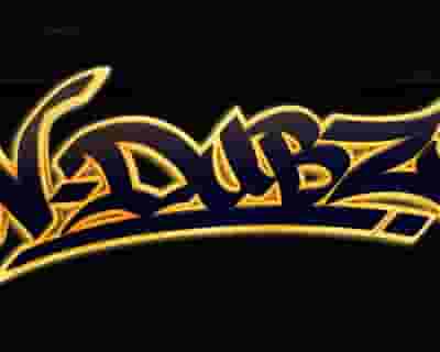 N-Dubz blurred poster image