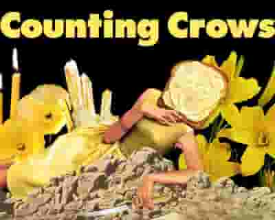 Counting Crows tickets blurred poster image