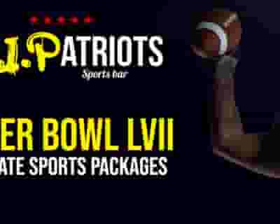 Super Bowl LVIII V.I.P. tickets blurred poster image