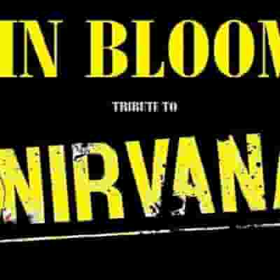 IN BLOOM - A Tribute to Nirvana blurred poster image