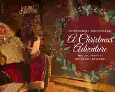 A Christmas Adventure - Woodmansey Wonderland. tickets blurred poster image