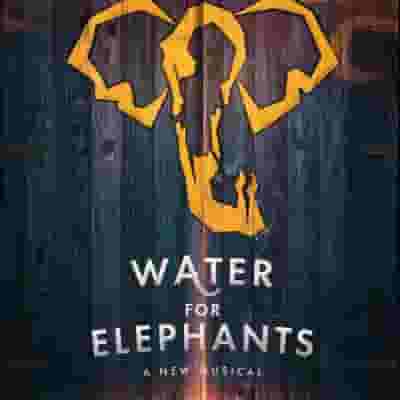 Water For Elephants blurred poster image