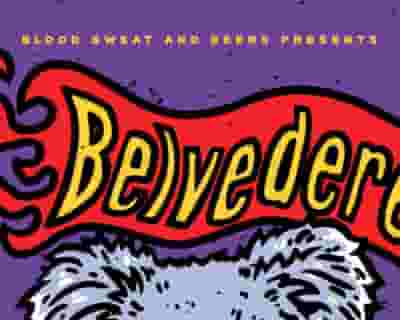 Belvedere tickets blurred poster image