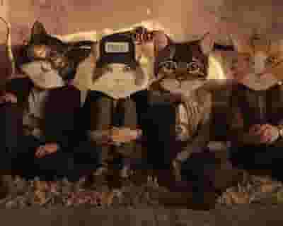 Fantastic Cat blurred poster image