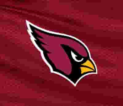 Arizona Cardinals blurred poster image