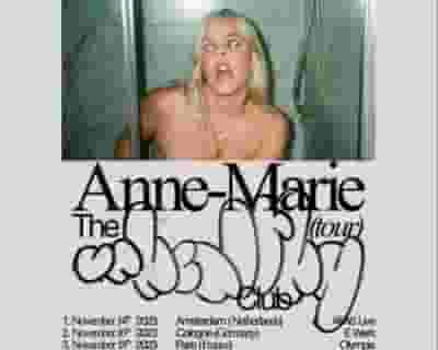 Anne-Marie tickets blurred poster image