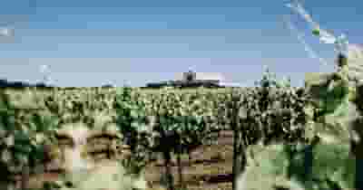Mt Duneed Estate blurred poster image