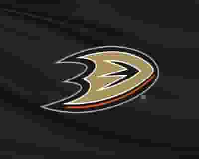 Anaheim Ducks blurred poster image