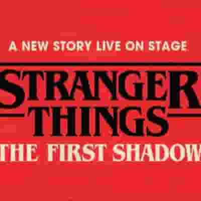 Stranger Things: The First Shadow blurred poster image
