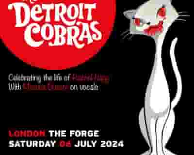 The Detroit Cobras tickets blurred poster image
