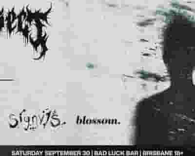 Diesect tickets blurred poster image